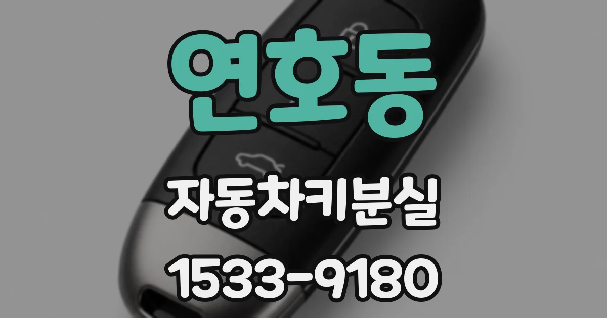 연호동 자동차키분실
