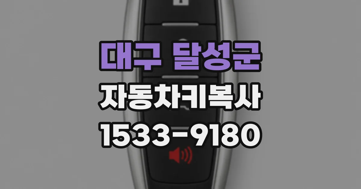 대구 달성군 자동차키복사