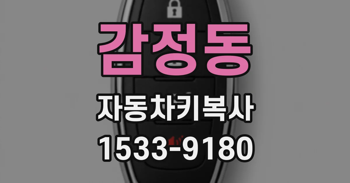 감정동 자동차키복사