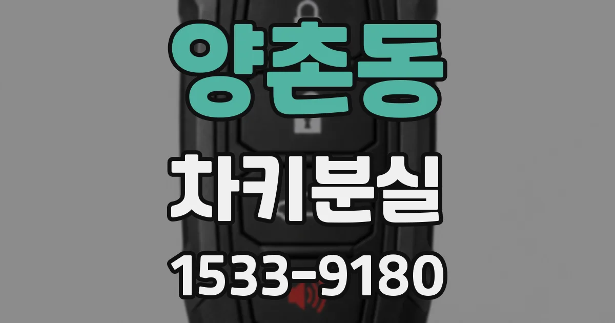 양촌동 차키분실