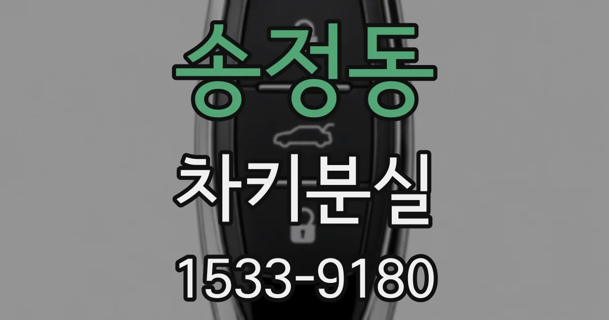 송정동 차키분실