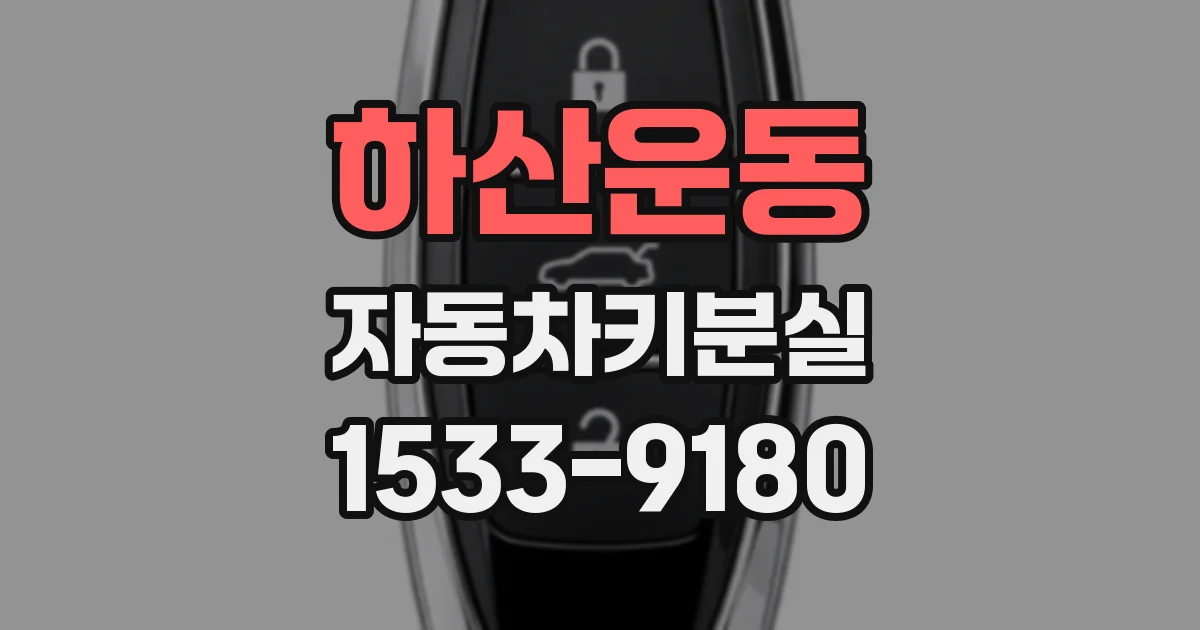 하산운동 자동차키분실