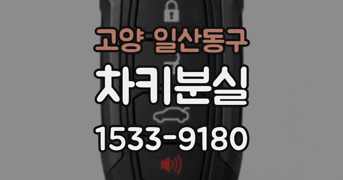 고양 일산동구 차키분실