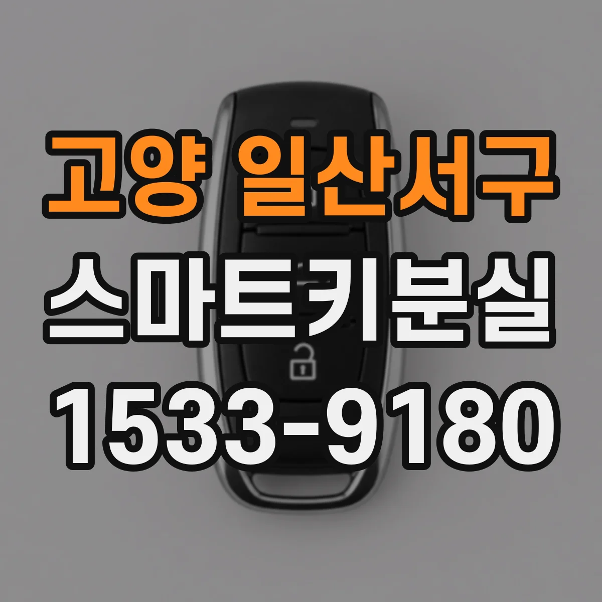 고양 일산서구 스마트키분실