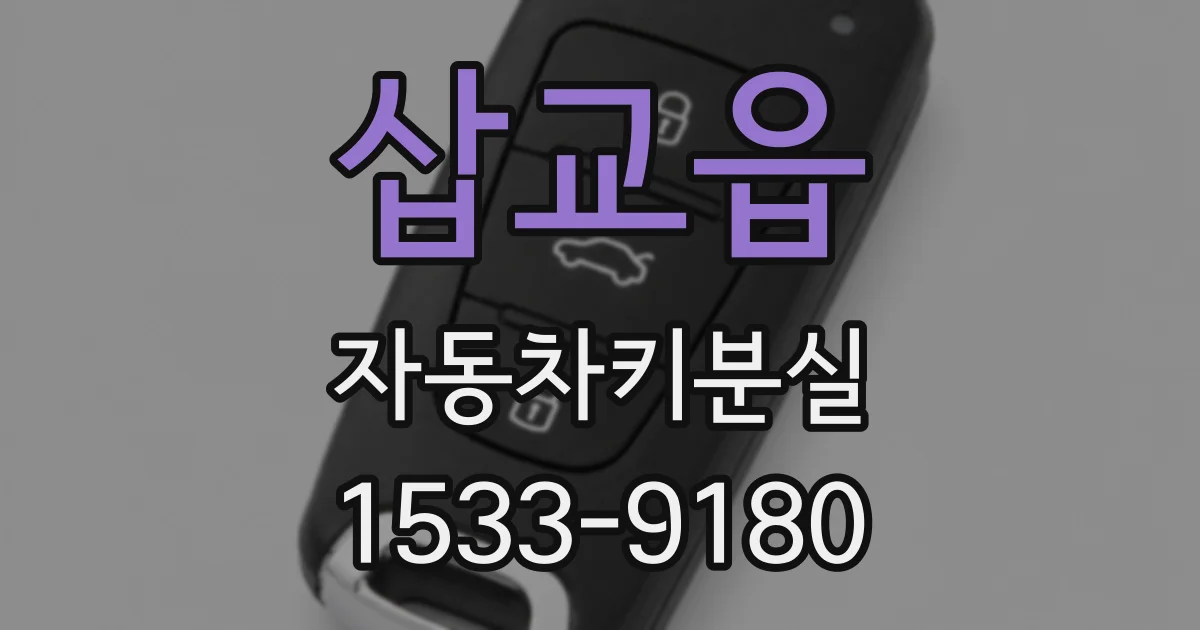 삽교읍 자동차키분실