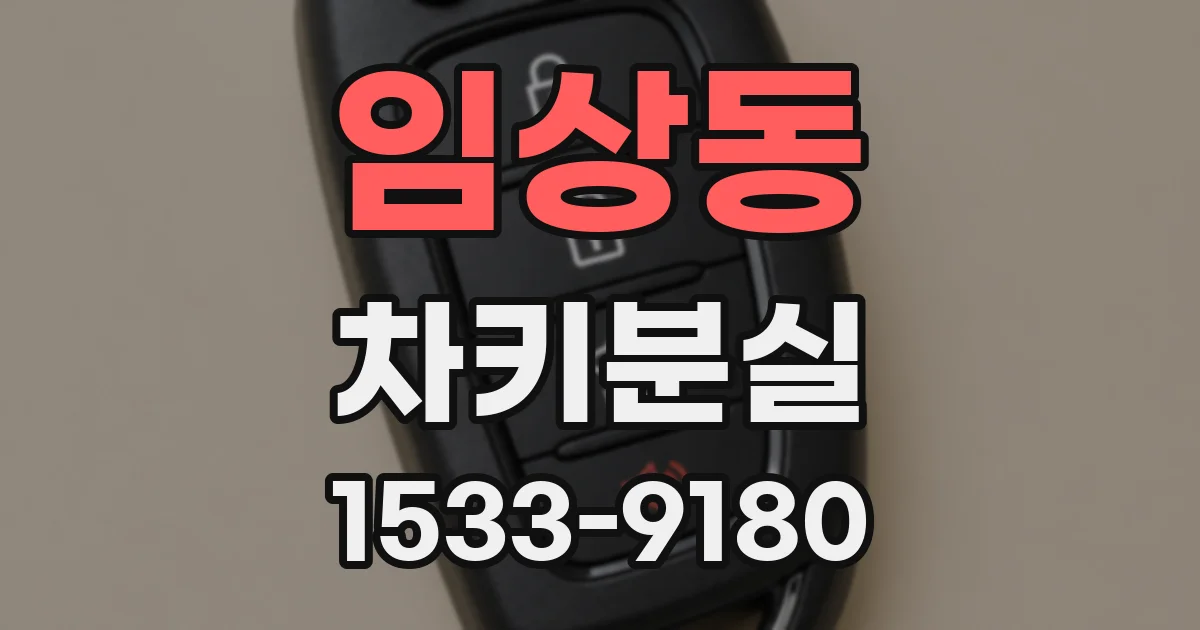 임상동 차키분실