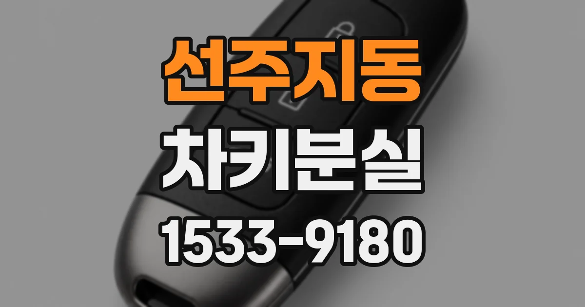 선주지동 차키분실