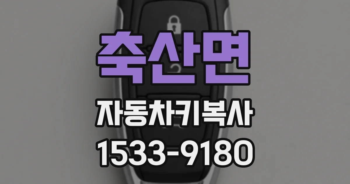 축산면 자동차키복사