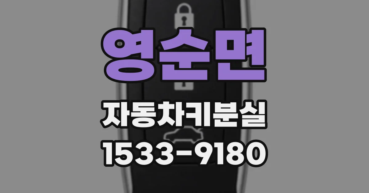 영순면 자동차키분실