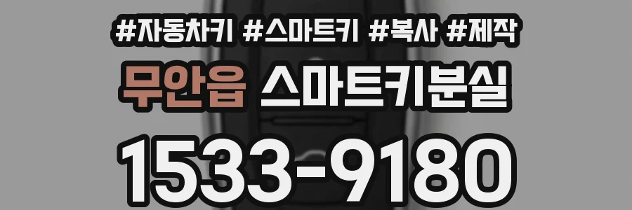 무안읍 스마트키분실