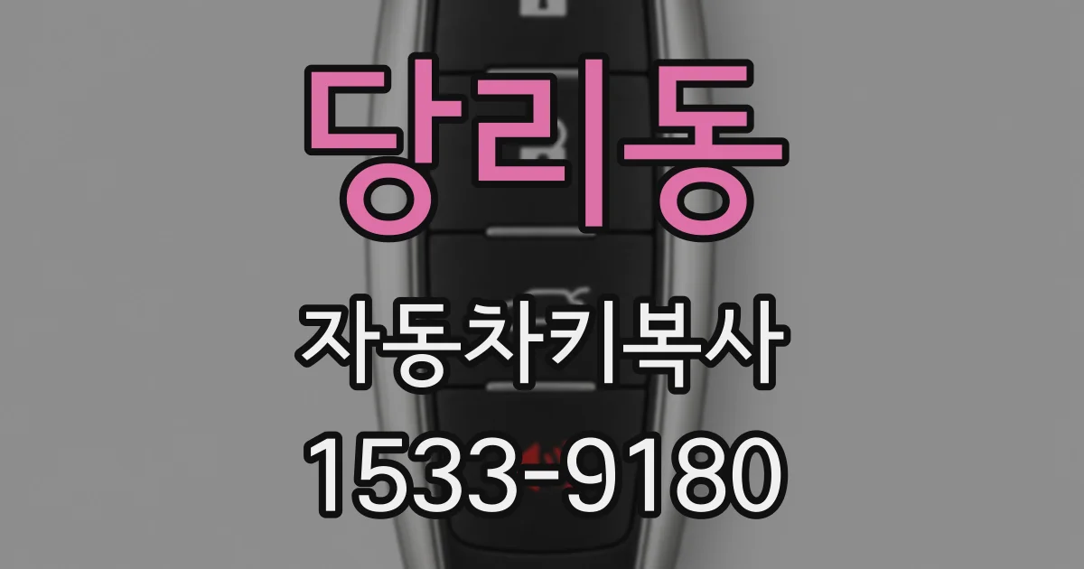 당리동 자동차키복사
