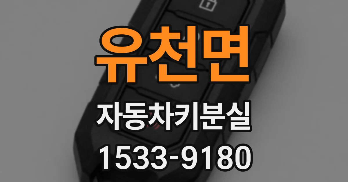 유천면 자동차키분실