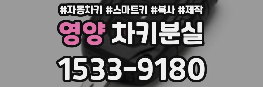 영양 차키분실
