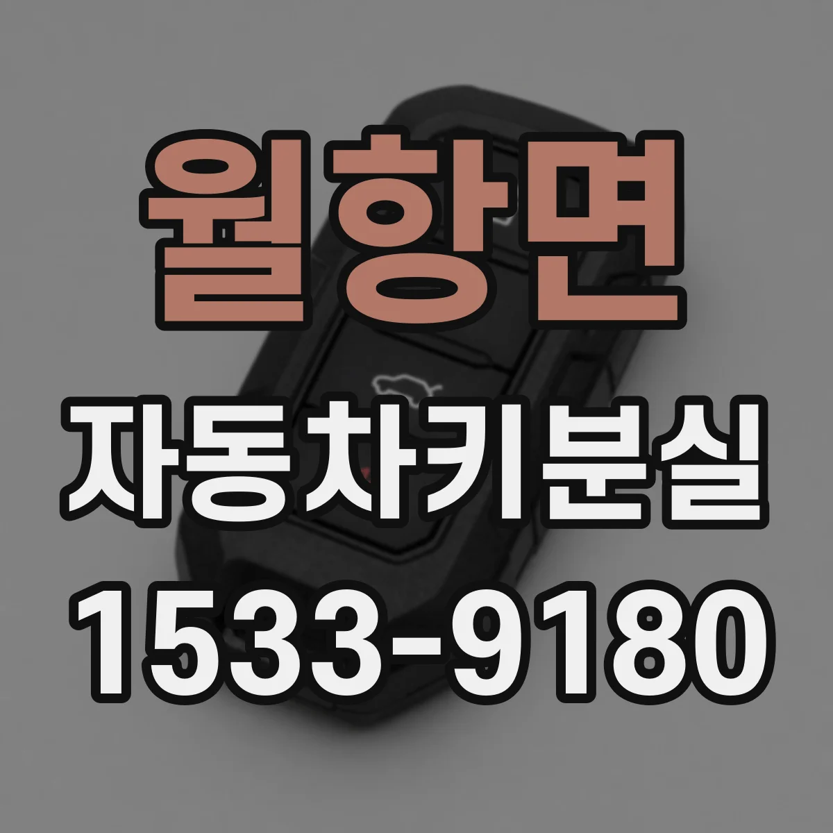 월항면 자동차키분실