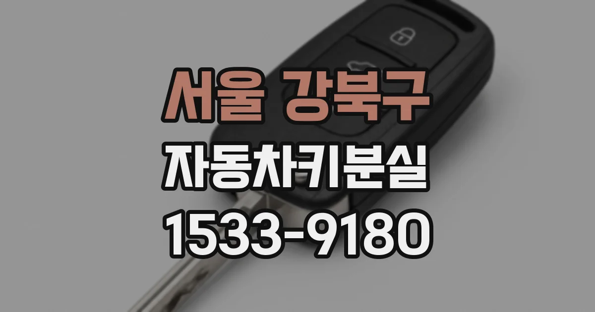 서울 강북구 자동차키분실