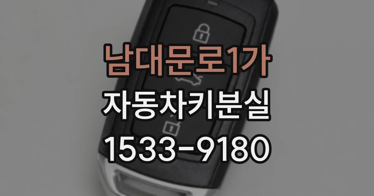 남대문로1가 자동차키분실