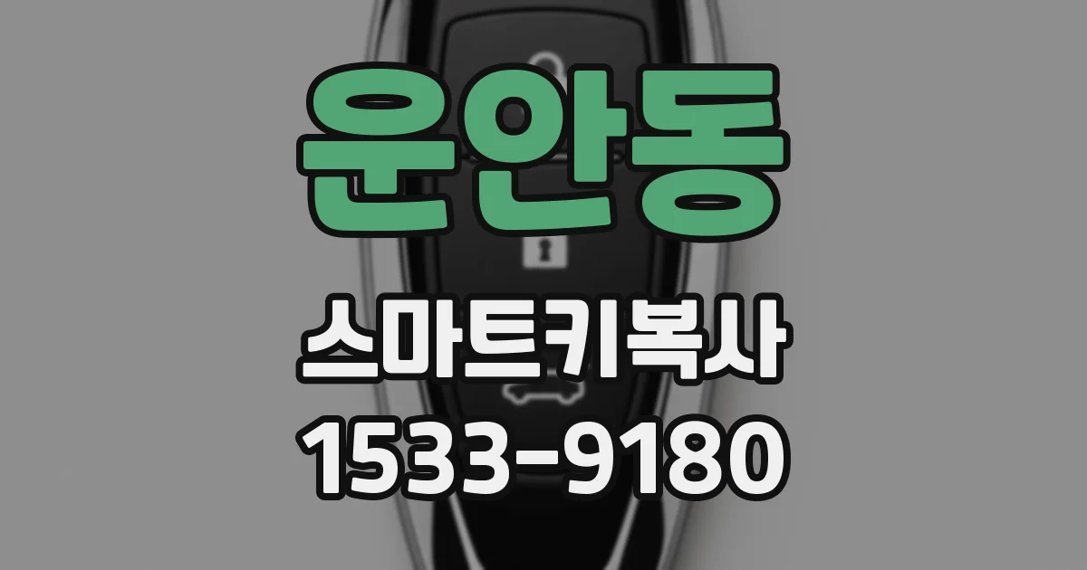 운안동 스마트키복사