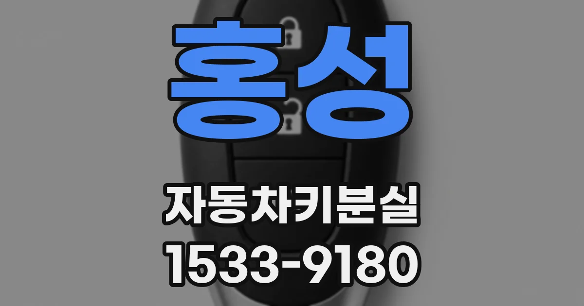 홍성 자동차키분실