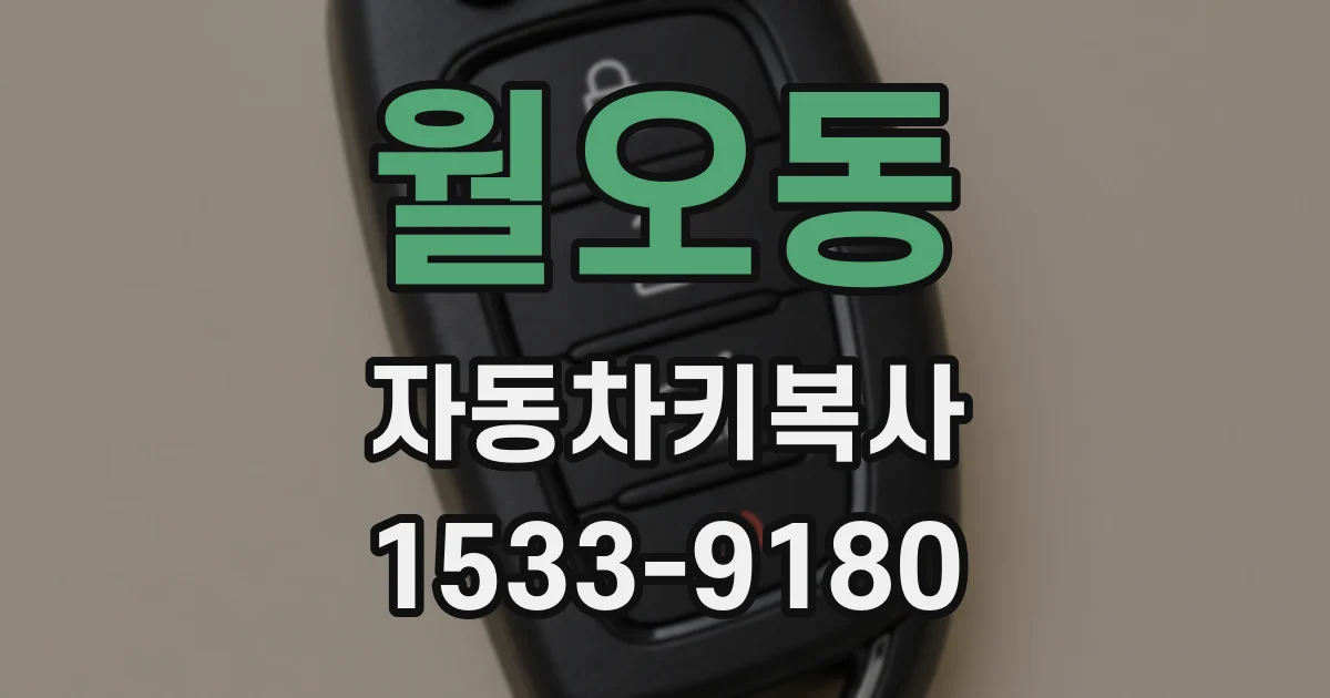 월오동 자동차키복사