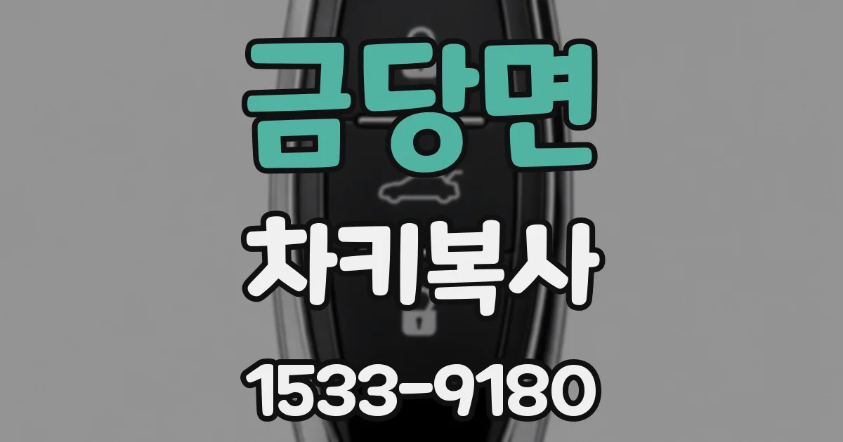 금당면 차키복사