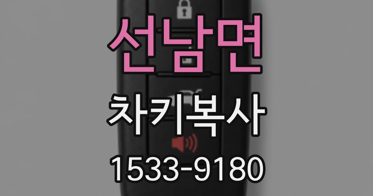 선남면 차키복사