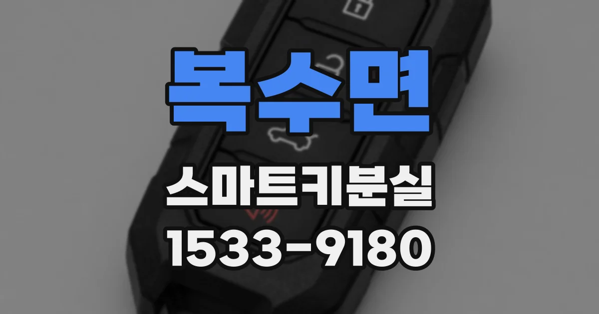 복수면 스마트키분실