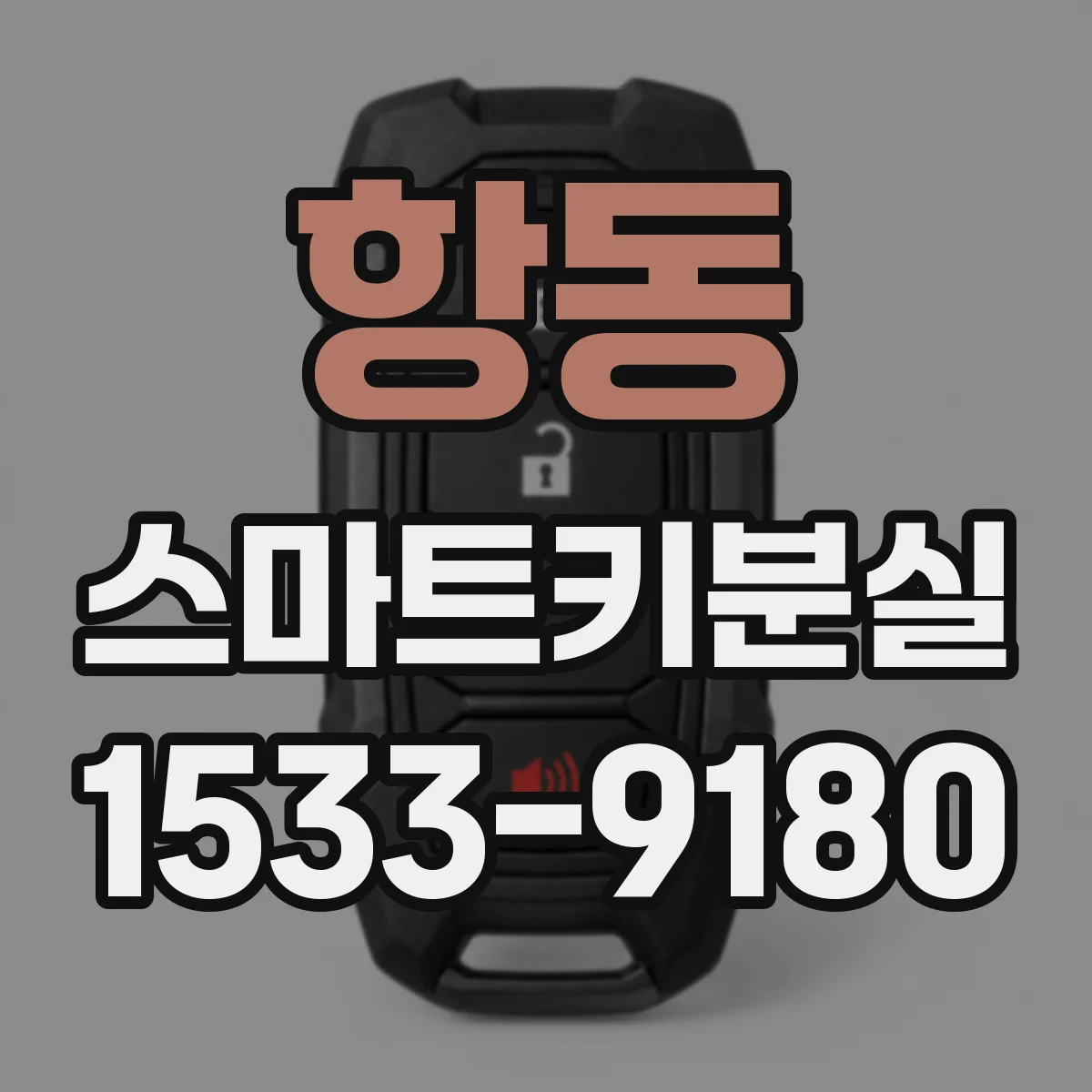 항동 스마트키분실