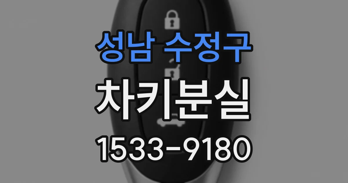 성남 수정구 차키분실