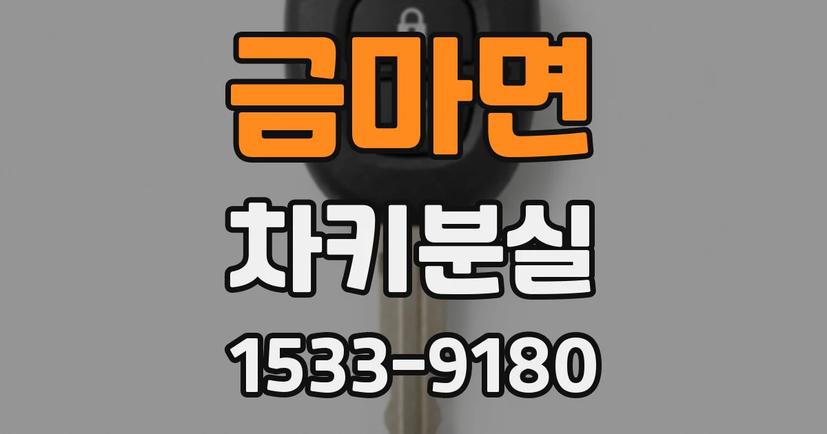 금마면 차키분실