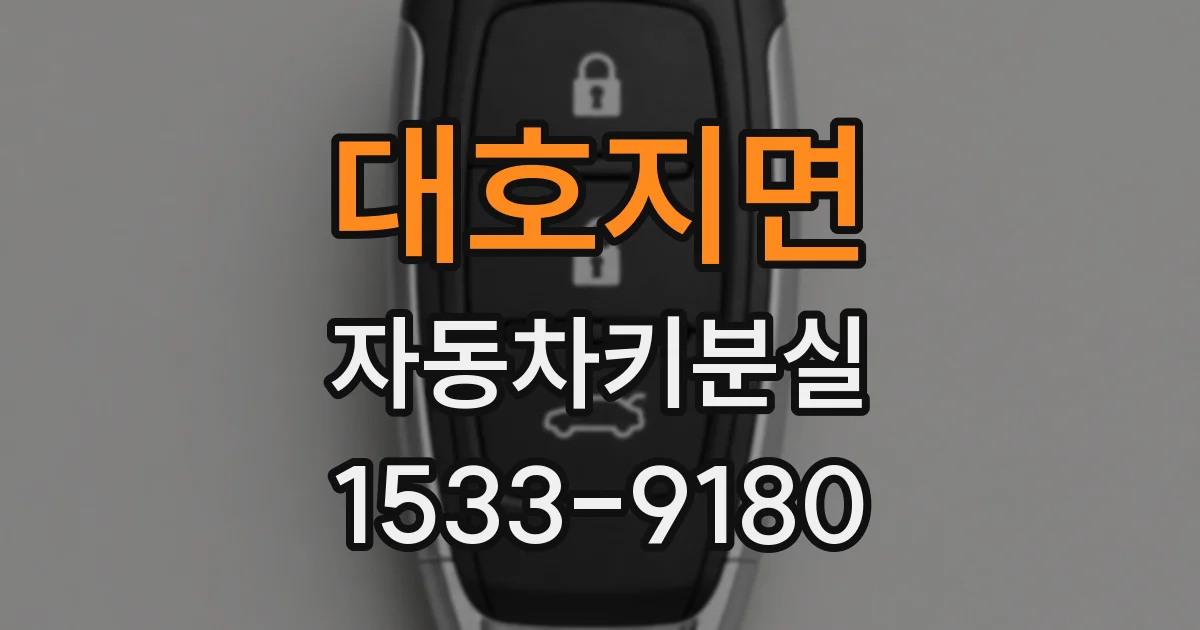 대호지면 자동차키분실