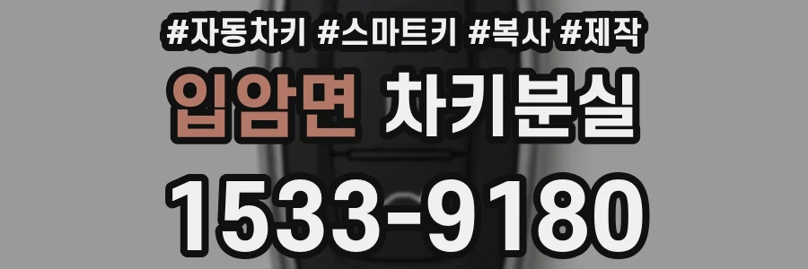 입암면 차키분실