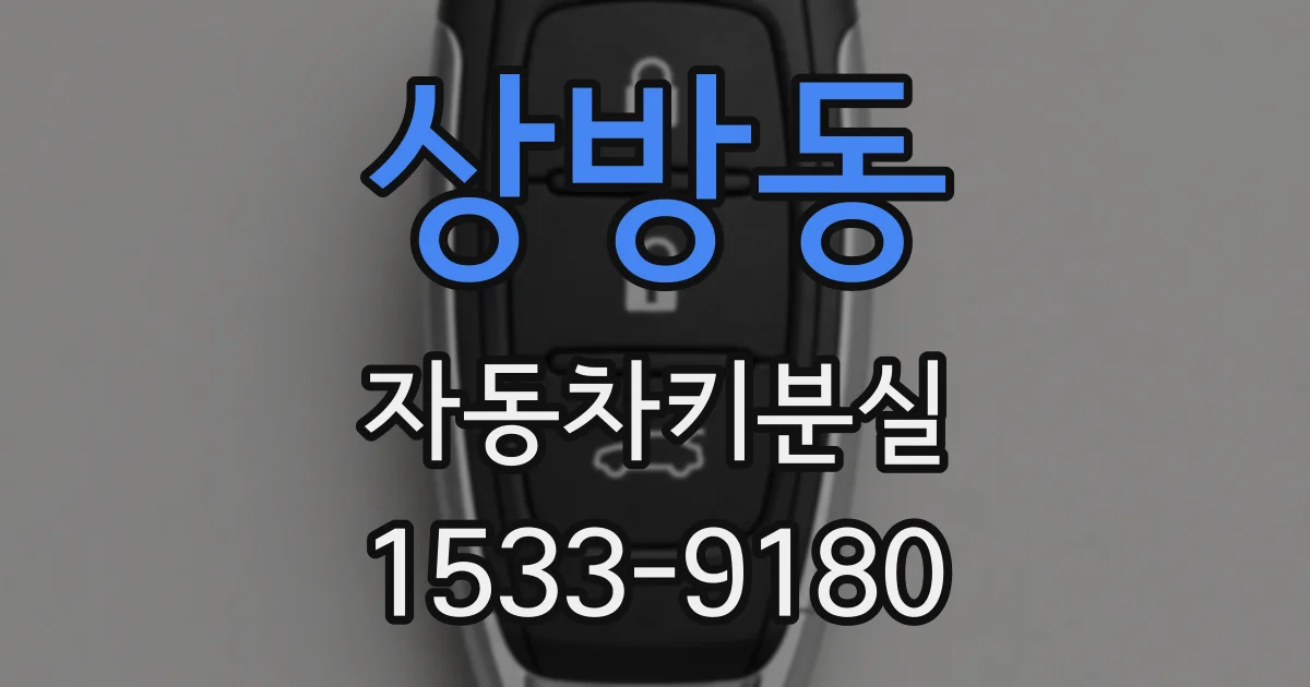 상방동 자동차키분실