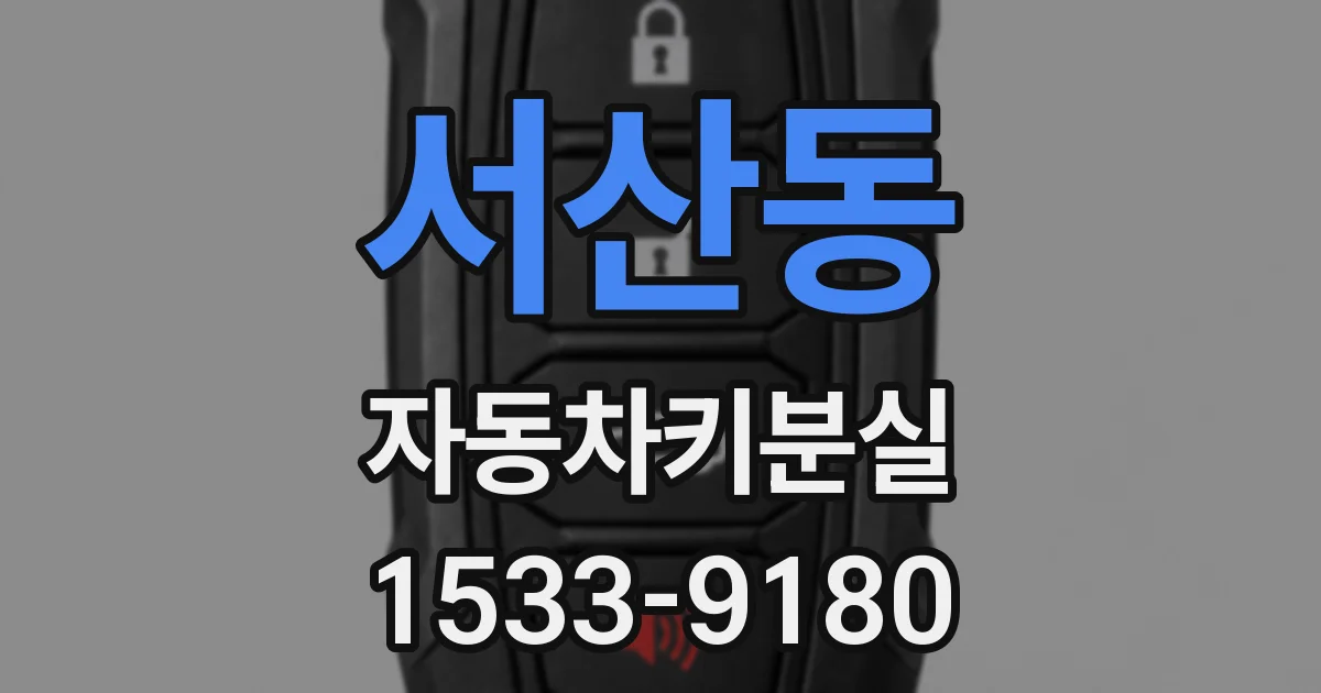 서산동 자동차키분실