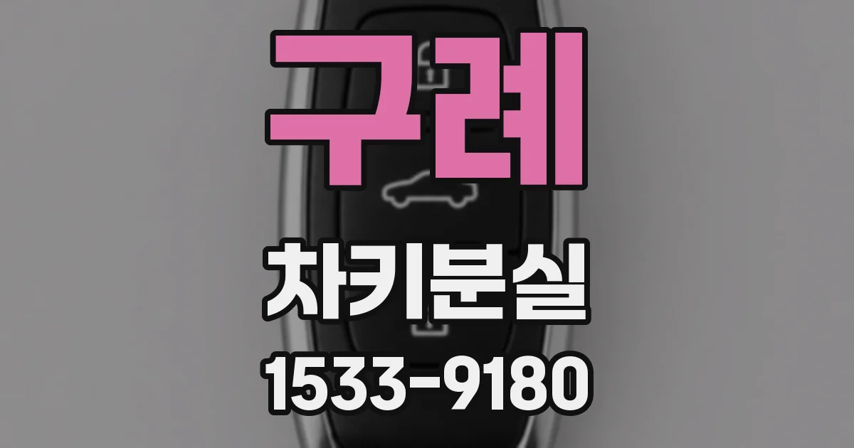 구례 차키분실