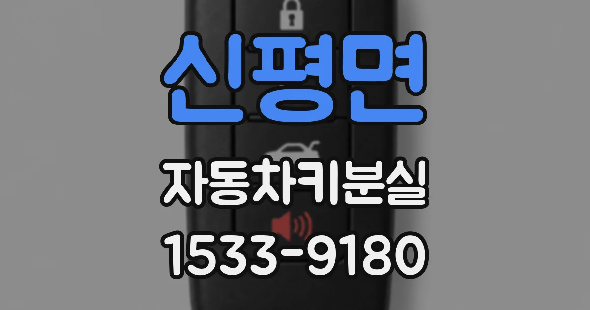 신평면 자동차키분실