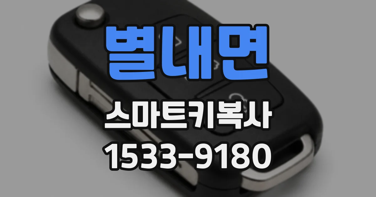 별내면 스마트키복사
