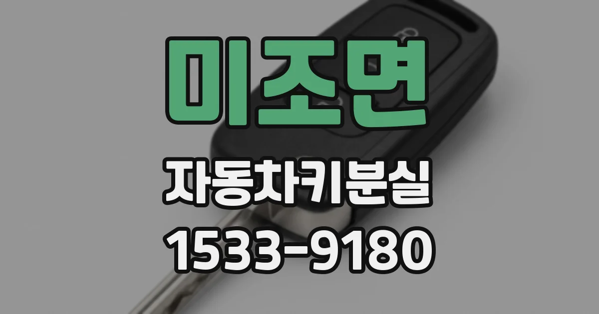 미조면 자동차키분실