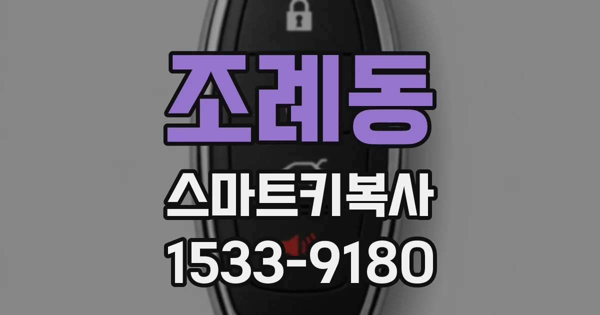 조례동 스마트키복사