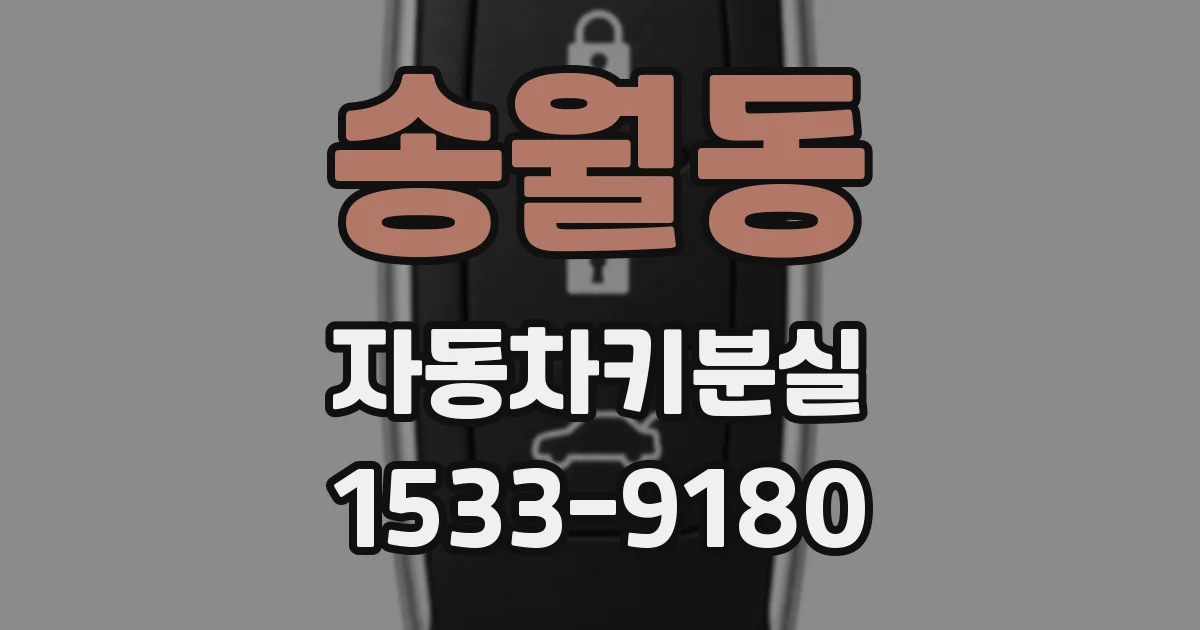 송월동 자동차키분실