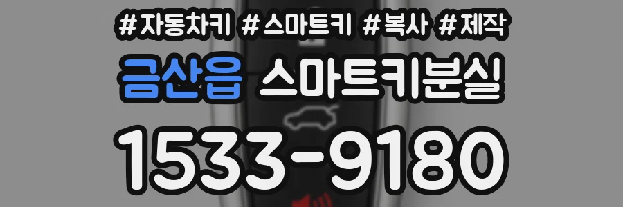금산읍 스마트키분실