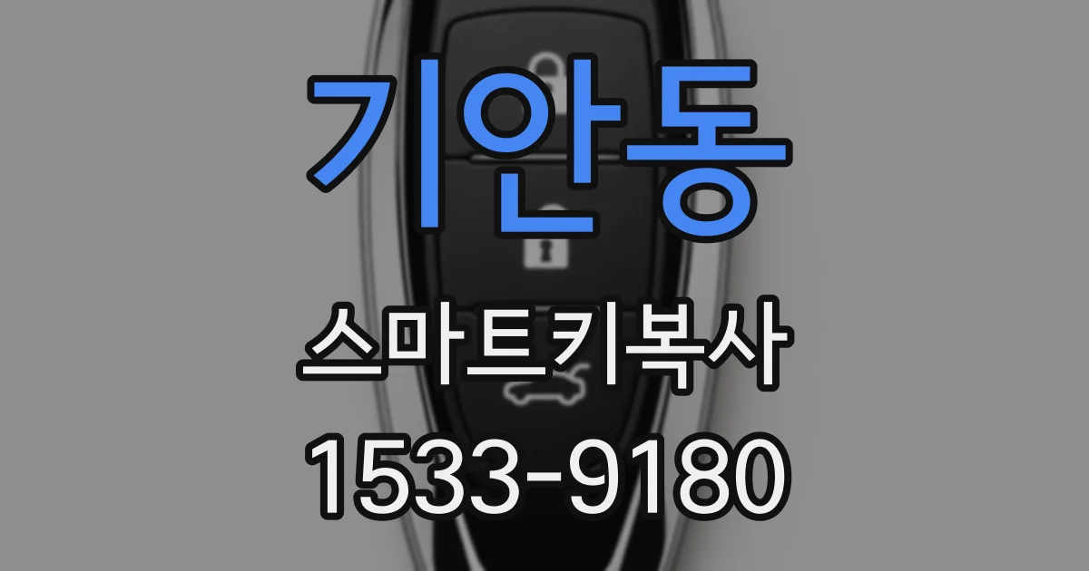 기안동 스마트키복사