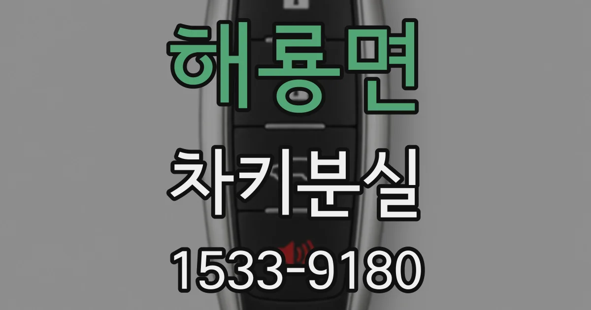 해룡면 차키분실