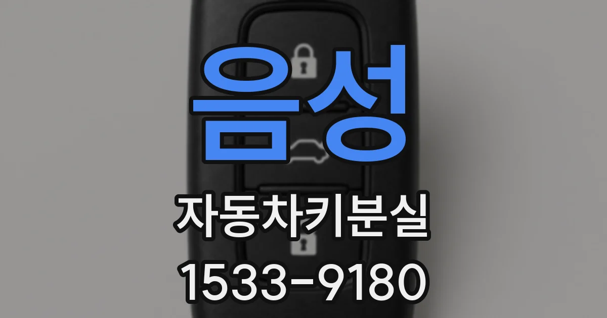음성 자동차키분실