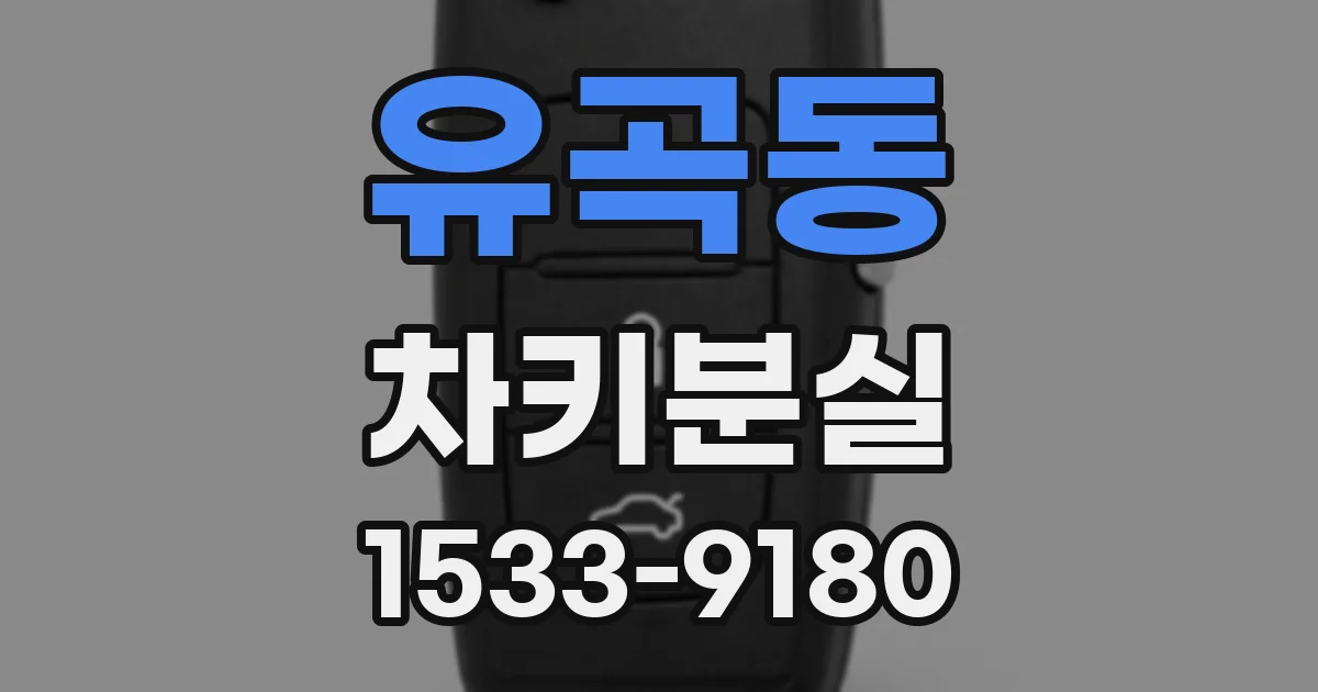 유곡동 차키분실