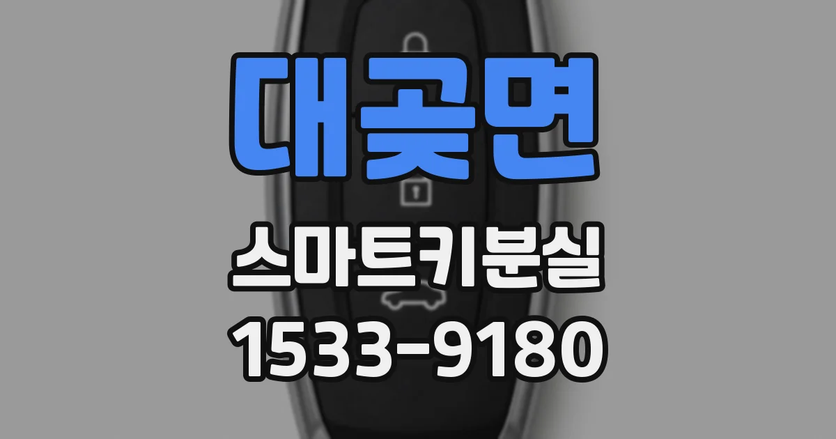 대곶면 스마트키분실