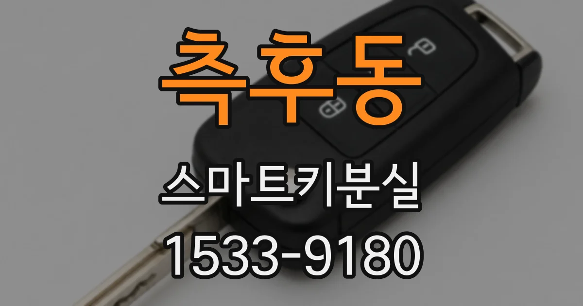 측후동 스마트키분실