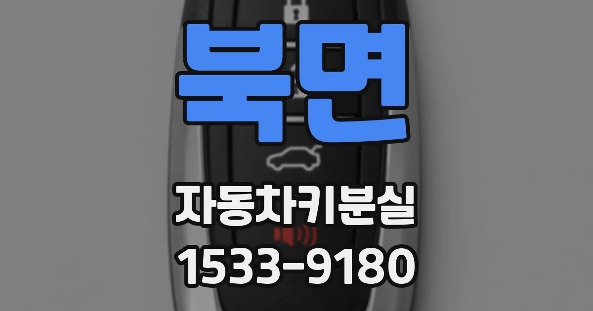 북면 자동차키분실