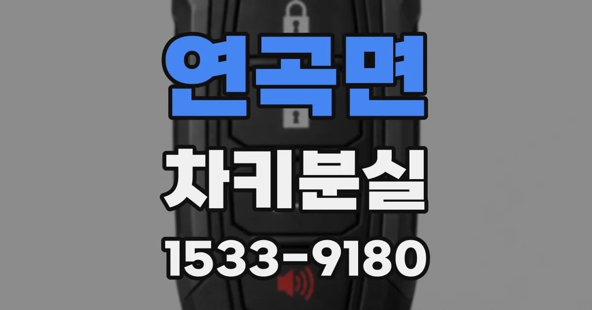 연곡면 차키분실