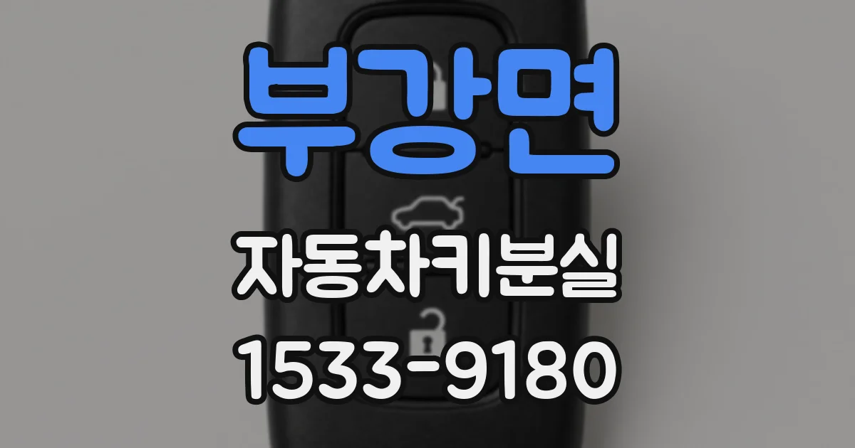 부강면 자동차키분실
