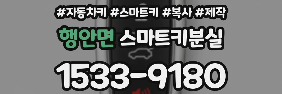 행안면 스마트키분실